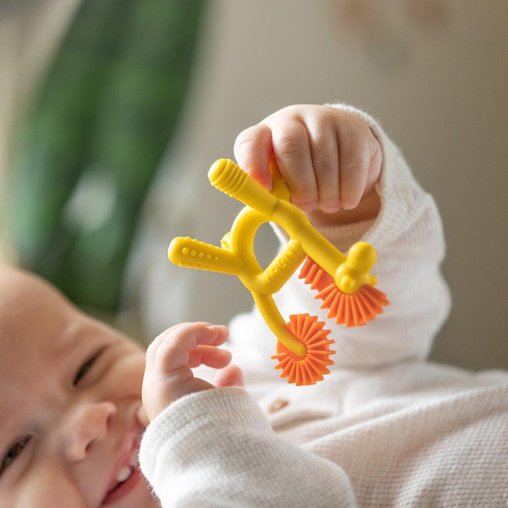 Geo Zoo Silicone Teether