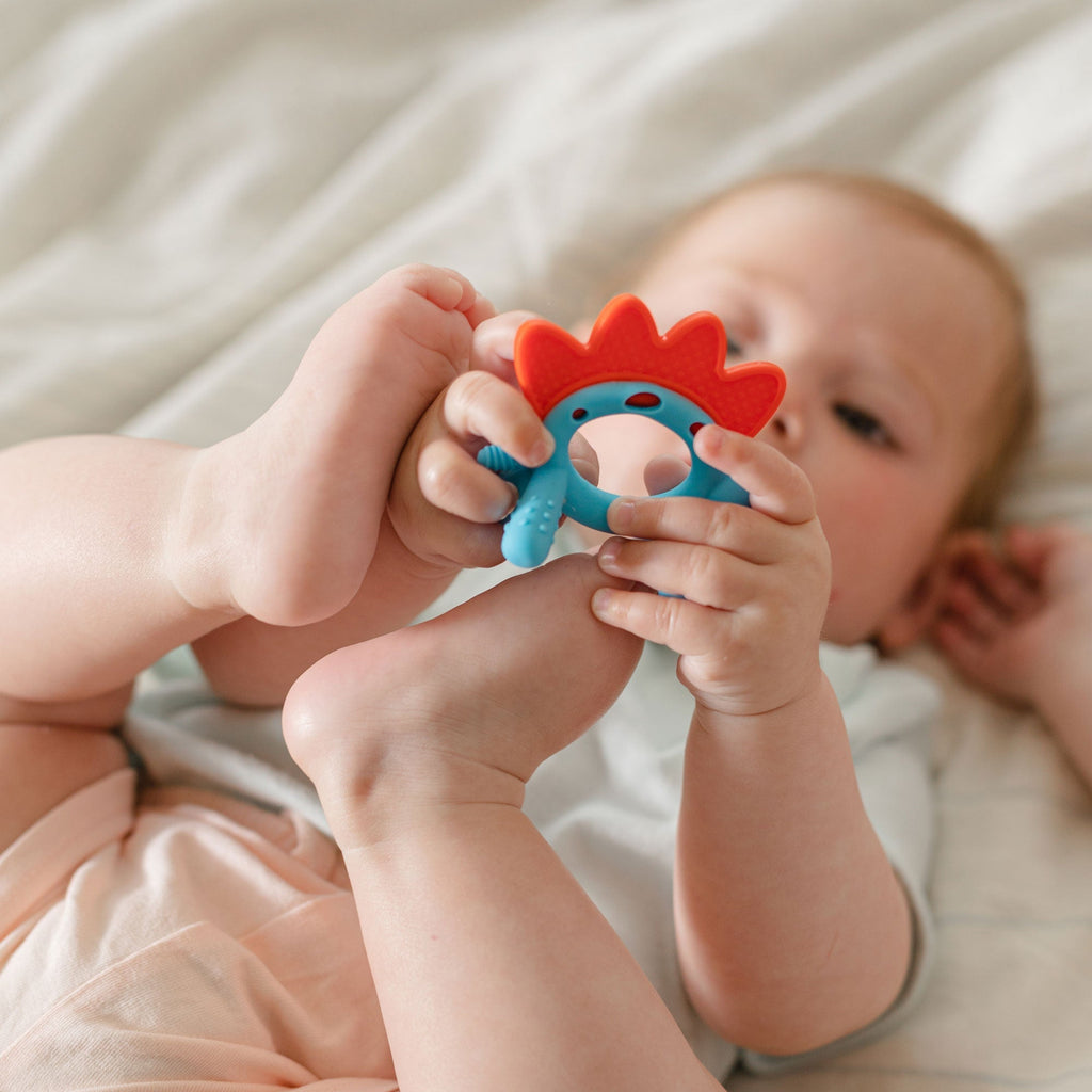 Geo Zoo Silicone Teether