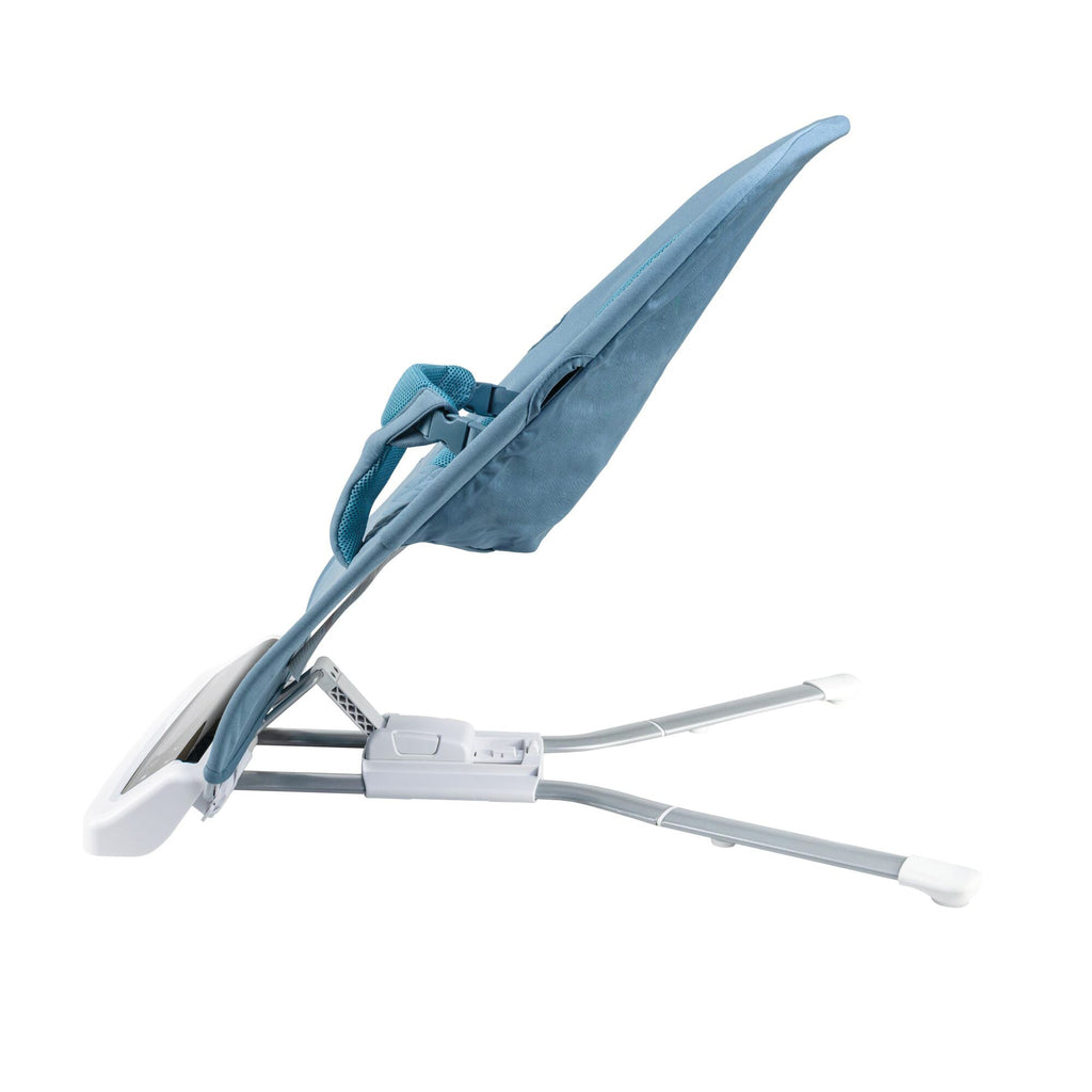 Deluxe Baby Bouncer Seat | Blue